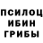 Псилоцибиновые грибы прущие грибы Durachock
