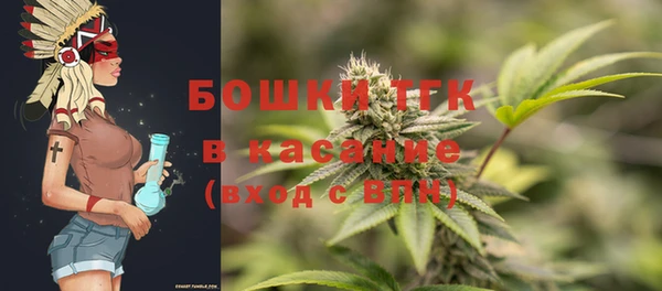 индика Балабаново