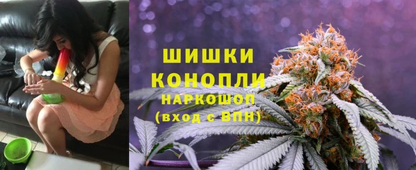 индика Балабаново