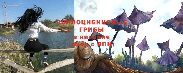 индика Балабаново