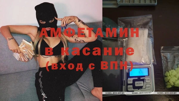 индика Балабаново