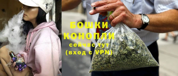 сатива Баксан