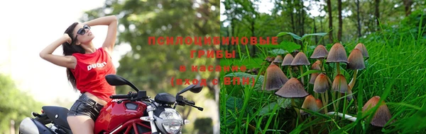 индика Балабаново