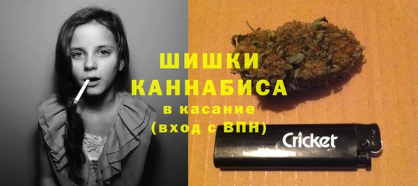 индика Балабаново