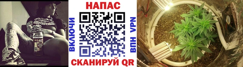 Конопля THC 21%  Заводоуковск 